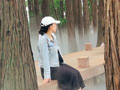 -东湖落雁景区