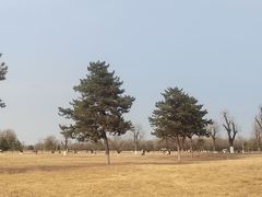 -汉长安城未央宫国家考古遗址公园