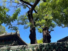 -北京国子监胡同