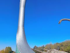 -沈阳植物园