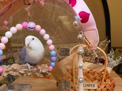 -CAMP.33露营烤肉·团建聚餐(创智天地店)