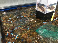 -盒马鲜生(昆城店)