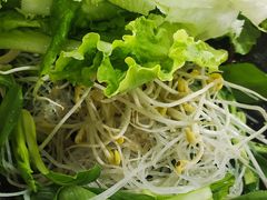 -皖北巫氏三胖地锅鸡(长淮总店)