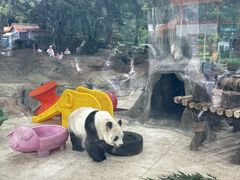 -重庆动物园·东二门售票处