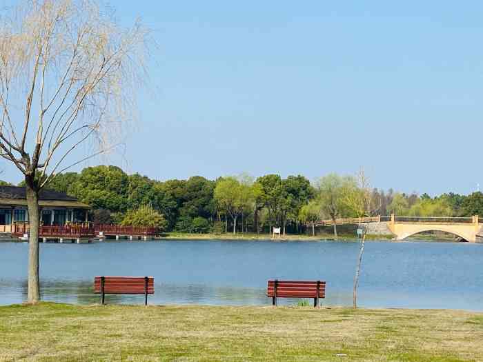 高东生态园-"为了新跃路的樱花大道而来,想着没地方停车.