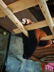 -Zoolung Zoolung动物主题公园(海信广场店)