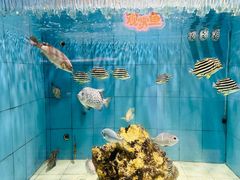 -美人鱼悬崖海景餐厅(鹿嘴山庄店)