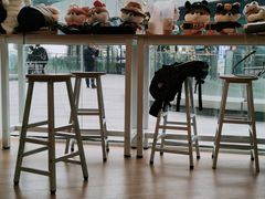 大堂-南京Hallo宠物乐园·哈罗犬舍·柴犬繁育基地
