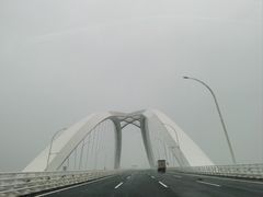 -白洋淀景区