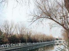 -花洲书院