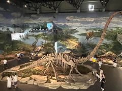 -自贡恐龙博物馆