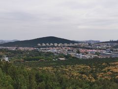 -武氏真功夫(第14店·新业广场店)