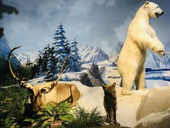 -陕西自然博物馆