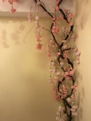 -玛妮雅科技纤体美容
