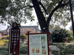 -青羊宫