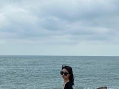 -广东惠东海龟国家级自然保护区