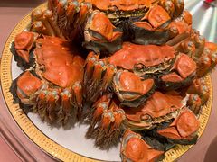 清蒸大闸蟹-王宝和酒家(黄浦店)