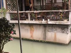 -阿东农家菜(新场古镇下塘街店)