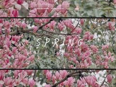 -玄武湖景区-情侣园游乐场