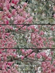 -玄武湖景区-情侣园游乐场