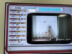-北京观赏动物医院·24小时大型综合·猫专科·异宠专科