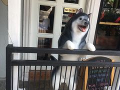 -TrueLove @ Neverland (Husky Cafe)