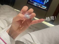 -深圳楚天大酒店(福田口岸深圳会展中心店)