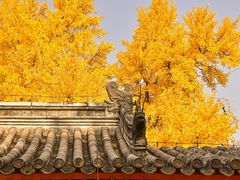 -承恩寺