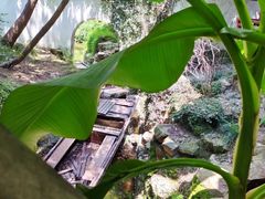 -秋霞圃