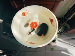 -孟林厨房(798店)