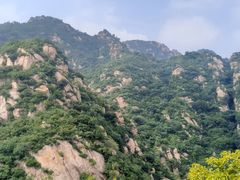 -大岭沟猕猴桃谷风景区