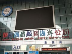 -烟台海昌鲸鲨海洋公园