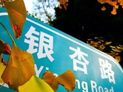 -辽宁大学(崇山校区)