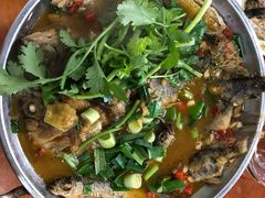 -全乐鱼馆·淳牌有机鱼直营店