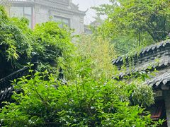-老张烤羊(王哥庄店)