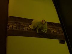 -泰馨玺·正宗泰式按摩SPA(石皮路店)