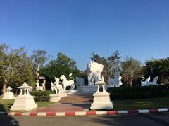 -清迈夜间动物园