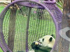 -无锡动物园·太湖欢乐园
