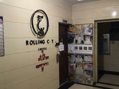 -滚猫咖啡·猫咖·猫友好撸猫(未来城店)