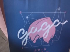 -gaga(深圳福田星河COCO Park店)