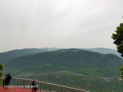 -铁山坪森林公园