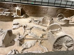 -洛阳周王城天子驾六博物馆