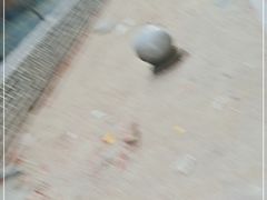 -砂唐居(总店)