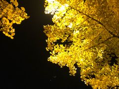 -东北大学(南湖校区)