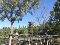 -东郊湿地公园