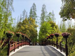-东平国家森林公园