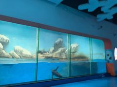 -泉城欧乐堡海洋极地世界