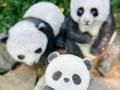 -杭州动物园