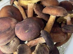 -菌之家·专业纯野生菌火锅·特色炒菌