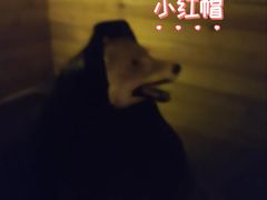 -明日世界密室轰趴·剧本桌游·箭馆团建(国贸店)